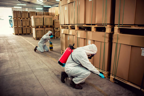 Best Pest Removal Services  in St Johns, AZ