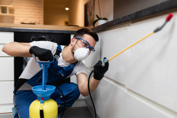 Best Residential Pest Control  in St Johns, AZ