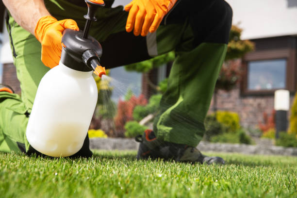 Best Best Pest Control Companies  in St Johns, AZ