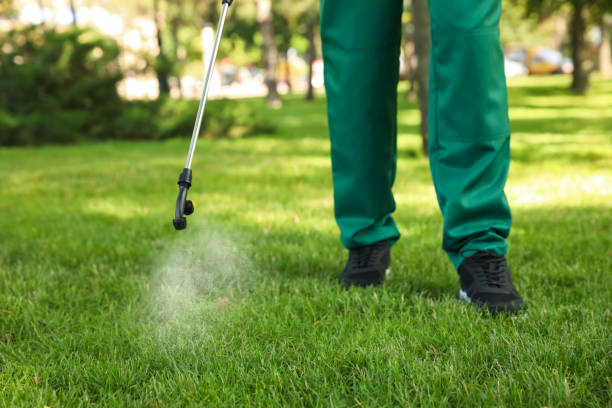 Best Pest Inspection Near Me  in St Johns, AZ