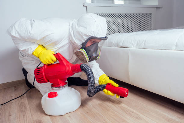 Best Best Pest Control Companies  in St Johns, AZ