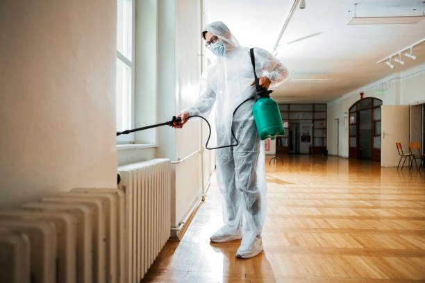 Best Wasp Removal Services  in St Johns, AZ