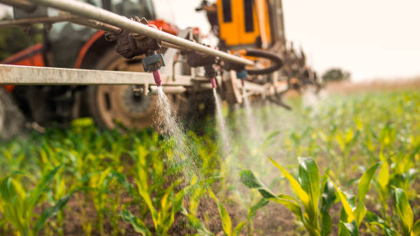 Best Mosquito Control Services  in St Johns, AZ