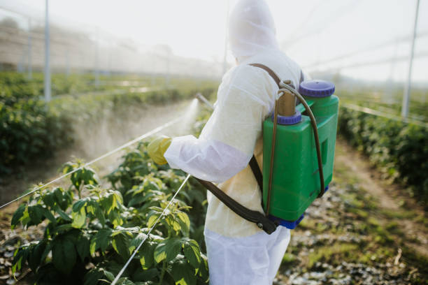 Best Exterminator Services  in St Johns, AZ